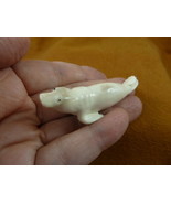 SEAL-w8) little white swimming Seal shed ANTLER figurine Bali detailed c... - $63.81 CAD
