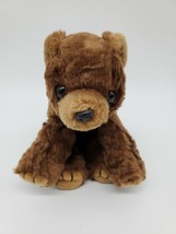 Ty Buddies Cocoa Bear Buddy 1996 Brown Plush Beanbag 13&quot; Stuffed Toy B309 - £13.53 GBP
