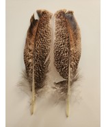 LB77 Matched Pr Dark Brown Speckled Turkey Natural Colored Wing Feather - £6.99 GBP