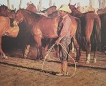 Looking for The Old Piebald Mare by Gordon Snidow Limited Edition Print - $122.50