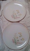 2 Hutschenreuther Selb LHS Bavaria 10.25&quot; Dinner Plates Floral Pattern P... - £14.69 GBP