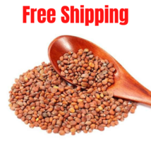 Organic Radish seeds Natural بذور الفجل Free Shipping - £9.58 GBP+