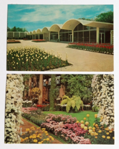 Longwood Gardens Flowers Plants Kennett Square PA Dexter Postcards 1960s (Qty 2) - £6.28 GBP