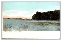 Salmon Point Auburn Maine ME UNP DB Postcard U13 - $3.51