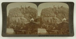 Vintage Stereoscope Card Underwood S527 Farmers Hay Horse Lincolnshire England - £8.55 GBP