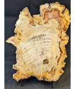 Petrified Wood Large Decorative Crystal Slice ≥8.0&quot; &amp; over 27.0 oz (Item... - $69.60 CAD