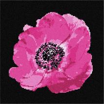 Pepita Needlepoint Canvas: Anemone, 10&quot; x 10&quot; - £62.36 GBP+
