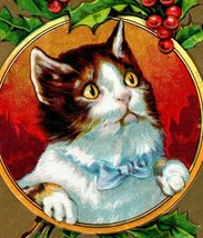 1910 Embossed Christmas Postcard Kitten Cat With a Bowtie - $21.78