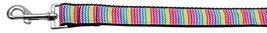 Zigzaggy Rainbow Nylon Dog Leash - $28.99
