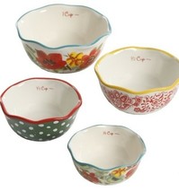 Pioneer Woman ~ Set of Four (4) Stoneware Measuring Cups ~ Rose Shadow - $552.31 MXN