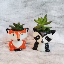 Animal Planters with Succulents, Fox and Raccoon, 3 inches, ceramic