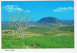 Israel Holy Land Postcard Mount Tabor - £2.33 GBP