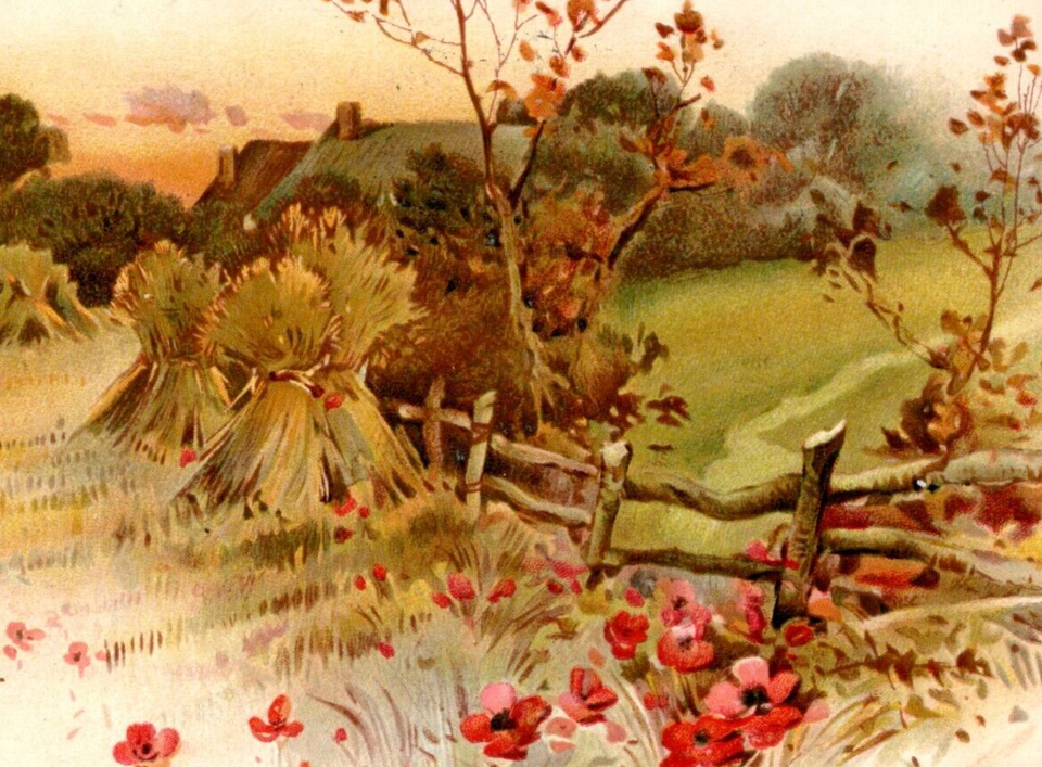 1913 Birthday Postcard Beautiful Fall Scene - Non-Topographical Postcards