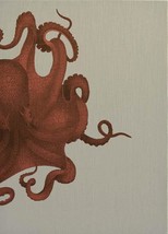 Wall Art Print 19th C Octopus Study 39x54 54x39 Coral Pink Linen Unfram - £487.98 GBP