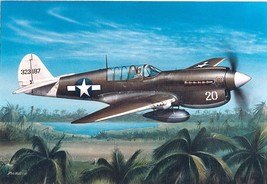 Framed 4&quot; X 6&quot; Print of a Curtiss P-40N &quot;Warhawk.&quot;  Hang on wall or Disp... - $10.84