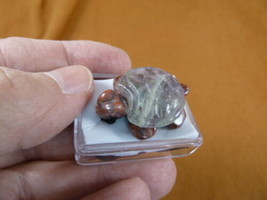 ann-tur-12 fluorite + red jasper TURTLE tortoise GEM carving Pendant NECKLACE - £9.74 GBP