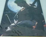 Zoro Moonlight #030 One Piece Double-sided Art Board Size A4 8&quot; x 11&quot; Wa... - $33.65