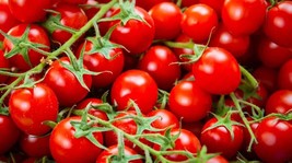 50 Seeds Organic Super Sweet 100 Mini Round Cherry Tomato Grown In Usa Gardening - £5.73 GBP