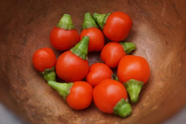 Best 25 Seeds Easy To Grow Wiri Wiri Hot Peppers Seeds Heirloom Guyana Cherry Pe - £6.56 GBP