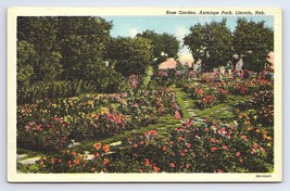 Postcard Lincoln NE Nebraska Rose Garden at Antelope Park - £2.89 GBP