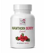 Digestive Support Supplements - Hawthorn Berry Extract 665MG - Keyword2 - SWAN L - $15.63