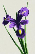 Pepita Needlepoint Canvas: Iris Beauty, 9&quot; x 14&quot; - £67.94 GBP+