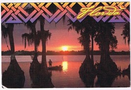 Postcard Twilight Sun Setting Among Cypress Trees Florida - $4.94