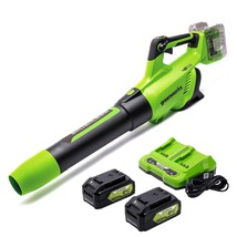 Greenworks 48V (2 x 24V) Brushless Cordless Axial Blower (140 MPH / 585 ... - £290.72 GBP
