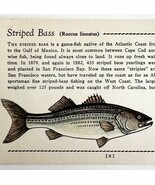 Striped Bass 1939 Salt Water Fish Gordon Ertz Color Plate Print Antique ... - $552.13 MXN