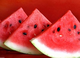 Watermelon 25 Seeds &#39;Florida Giant&#39; Heirloom, Most Popular Giant Waterme... - £3.46 GBP