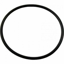Pentair 192323 O-Ring for Pool or Spa DE Filter and Pump - £12.15 GBP