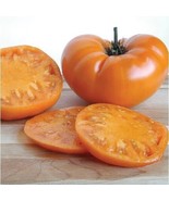 KB Tomato Kellogg’S Breakfast Beefsteak Indeterminate Heirloom Non Gmo 5... - $11.19