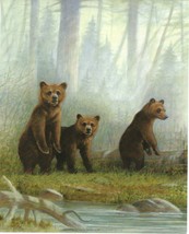 Never Framed 8 x 10 Wall Art print and Decor Three Bears in the Forest Poster - £5.49 GBP