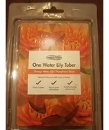 One Orange Water Lily - Nymphaea Sioux tuber-Brand New-SHIPS SAME BUS DAY - $60.82 CAD