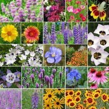 LWSTORE Wildflower Mix North American Native 19 Flowers Non Gmo500 Seeds USPS Sh - £7.07 GBP