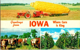 Postcard Iowa Where Corn is King Herfords The King Row 5.5 x 3.5 Inches - £3.94 GBP