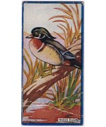 Cowan Co Toronto Card Bird Wood Duck - £7.40 GBP