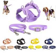 Four Seasons Puppy Collar and Harness Set - £18.03 GBP+