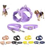Four Seasons Puppy Collar and Harness Set - £18.10 GBP+