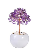 Amethyst Crystal Tree Natural Healing Crystal Gemstone Money Tree Feng S... - $30.99