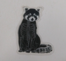Raccoon X-Ray Transparent Sticker 2.25&quot; x 1.75&quot; (AF) - $1.64