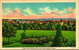 View From Walnut Hill New Britain Connecticut CT UNP Linen Postcard - £3.89 GBP