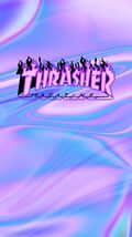 Thrasher Magazine Skateboards 12x8in Inches Aluminum Metal Sign Collage 24 - $24.74