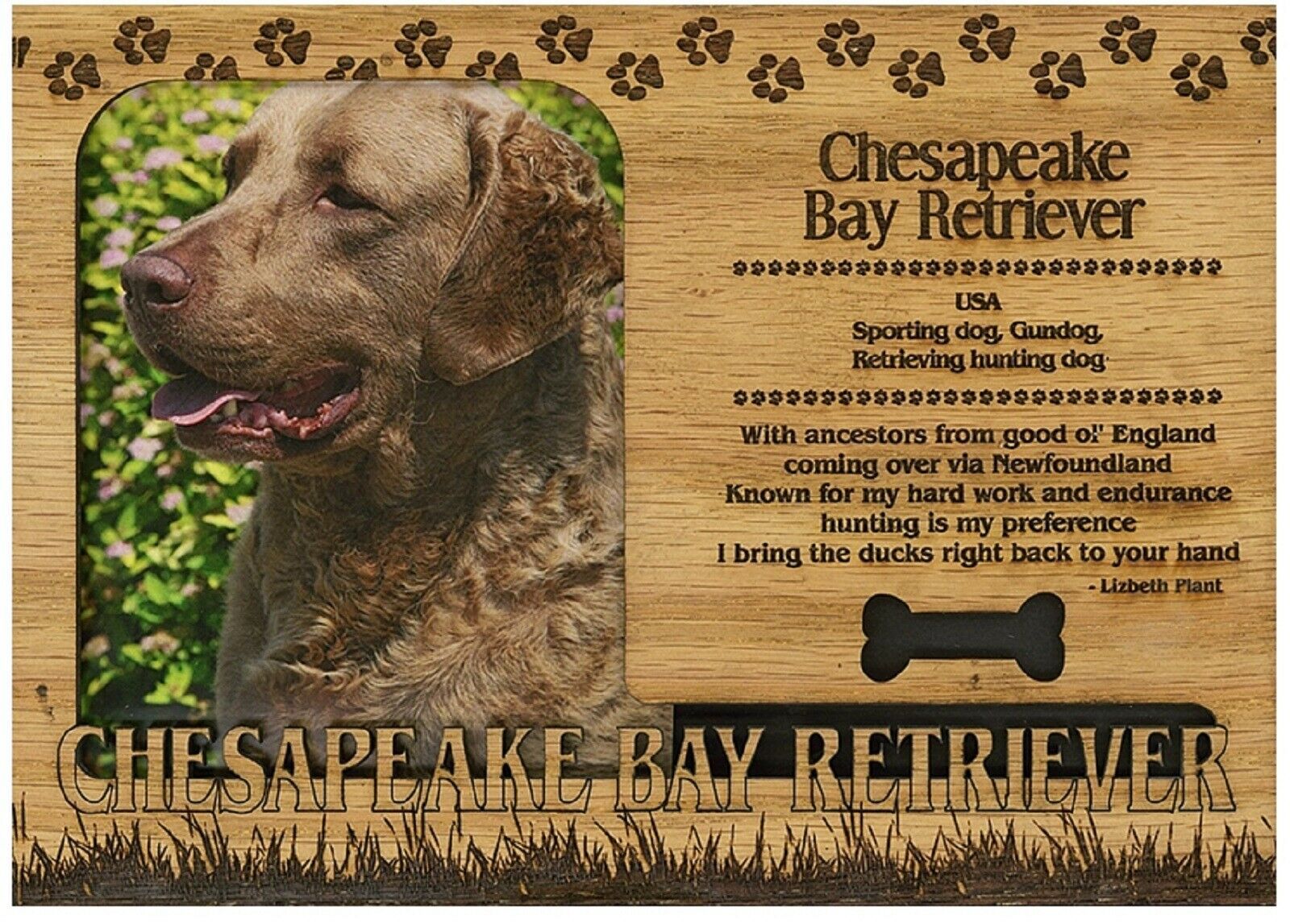 Chesapeake Bay Retriever Engraved Wood Picture Frame Magnet - $11.58