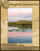 Everglades National Park Laser Engraved Wood Picture Frame Portrait (8 x 10) - £41.99 GBP