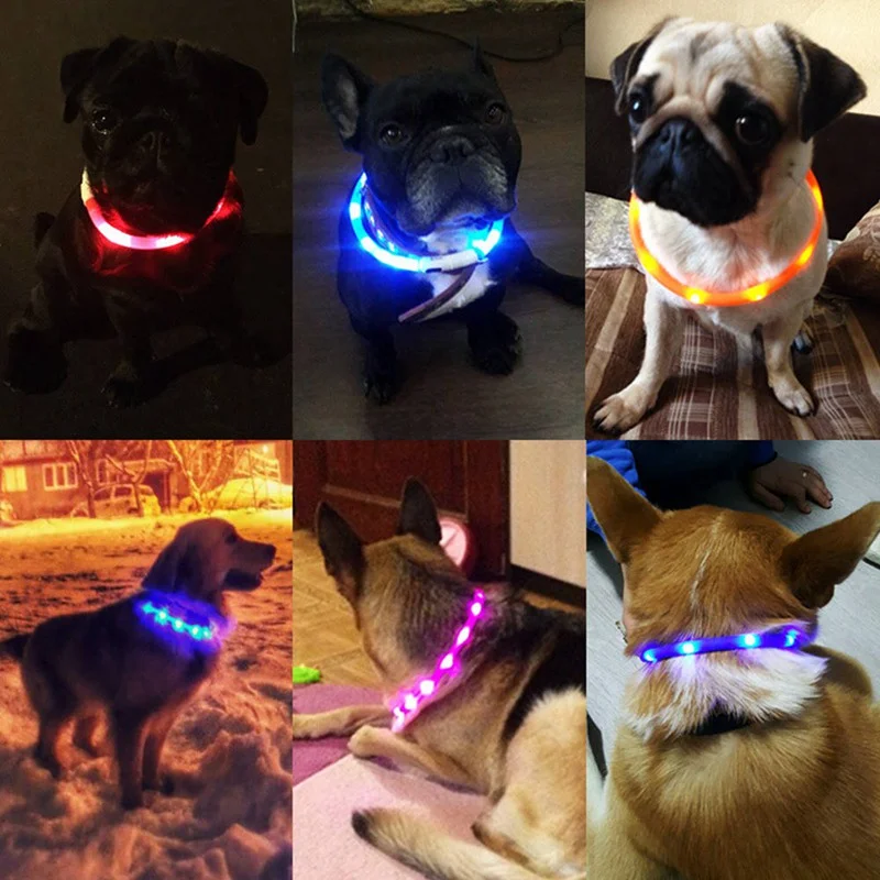 House Home LED Glowing Dog Collar USB Charging Pet Dog Collar Night Luminous Dog - £19.95 GBP