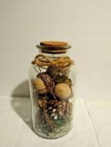 GLITTERED ACRON AND PINE CONE FILLER GLASS JAR TABLETOP DECOR - £11.93 GBP