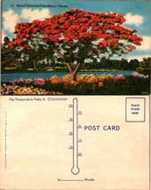 Florida Miami Royal Poinciana Tree Pink Flowers 1930-1945 Linen Vintage ... - $7.50