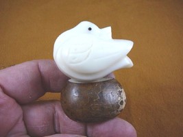 (TNE-BIR-DU-45A) Duck water fowl bird TAGUA NUT palm figurine carving ducks - £12.32 GBP