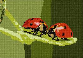Pepita Needlepoint kit: Ladybugs, 10&quot; x 7&quot; - $50.00+